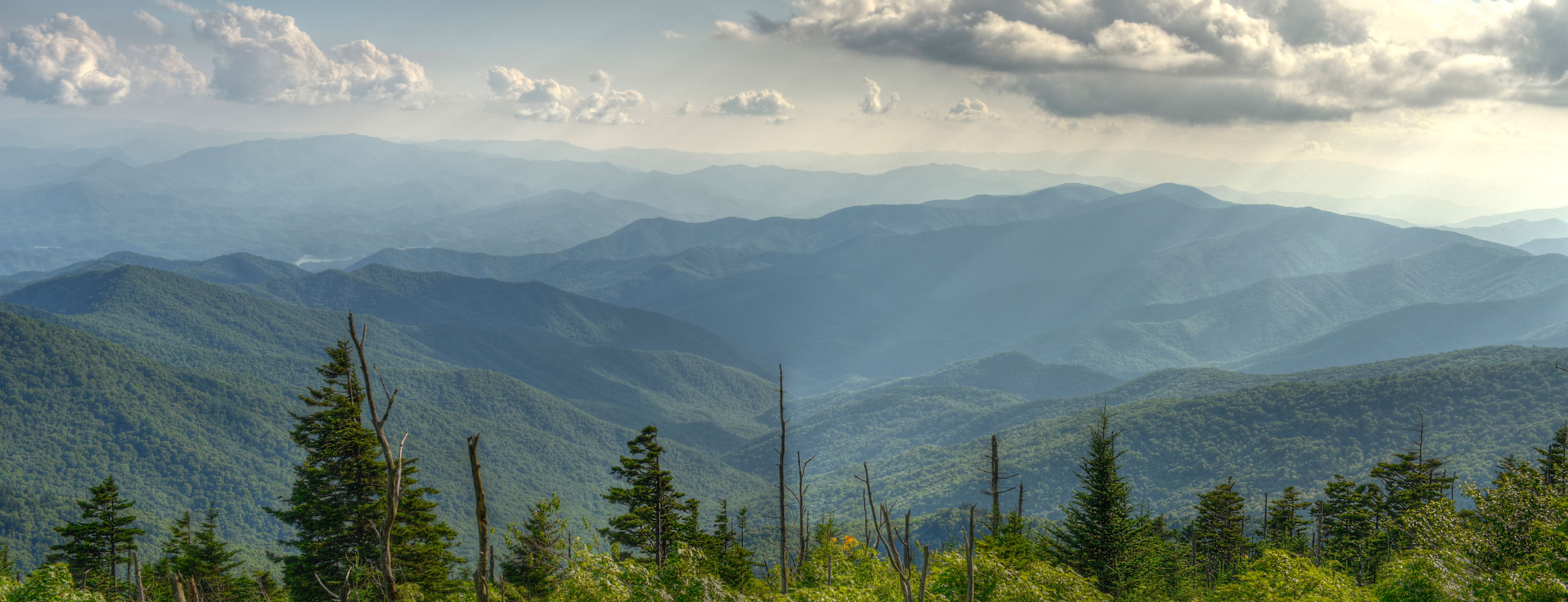 The Digital Services Store